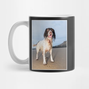 English Springer Spaniel Mug